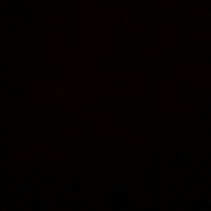 Meet your Posher, Jaden